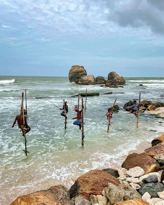 WhatsApp Image 2026-02-10 at 1.52.32 PM