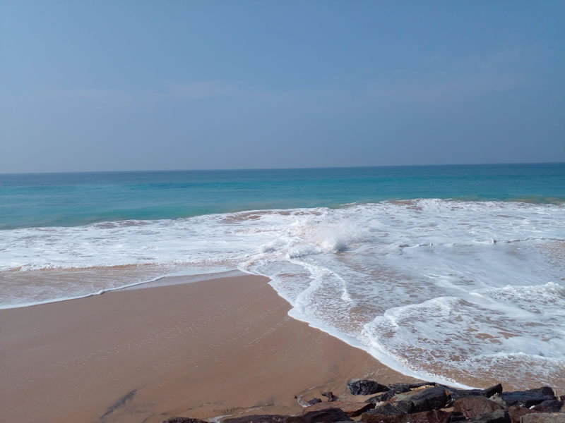 WhatsApp Image 2026-02-10 at 1.52.35 PM